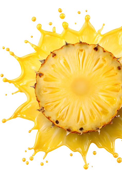 Ananas painapo
